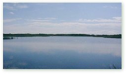 The marsh in Area 23 is always clear and abundant with beaver and muskrat. The geese and ducks come and go as they please.  Click on image for larger view.