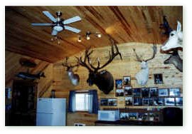 This inside view of Bullrushes features a 7 by 7 elk mount exceeding 400 inches SCI! Click on image for full size view. 