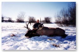 Brandon (13 years) worked hard to get close enough to this magnificent bull for a sure shot.